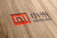 融资11亿美元 小米千亿野心渐现